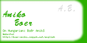 aniko boer business card