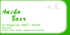 aniko boer business card